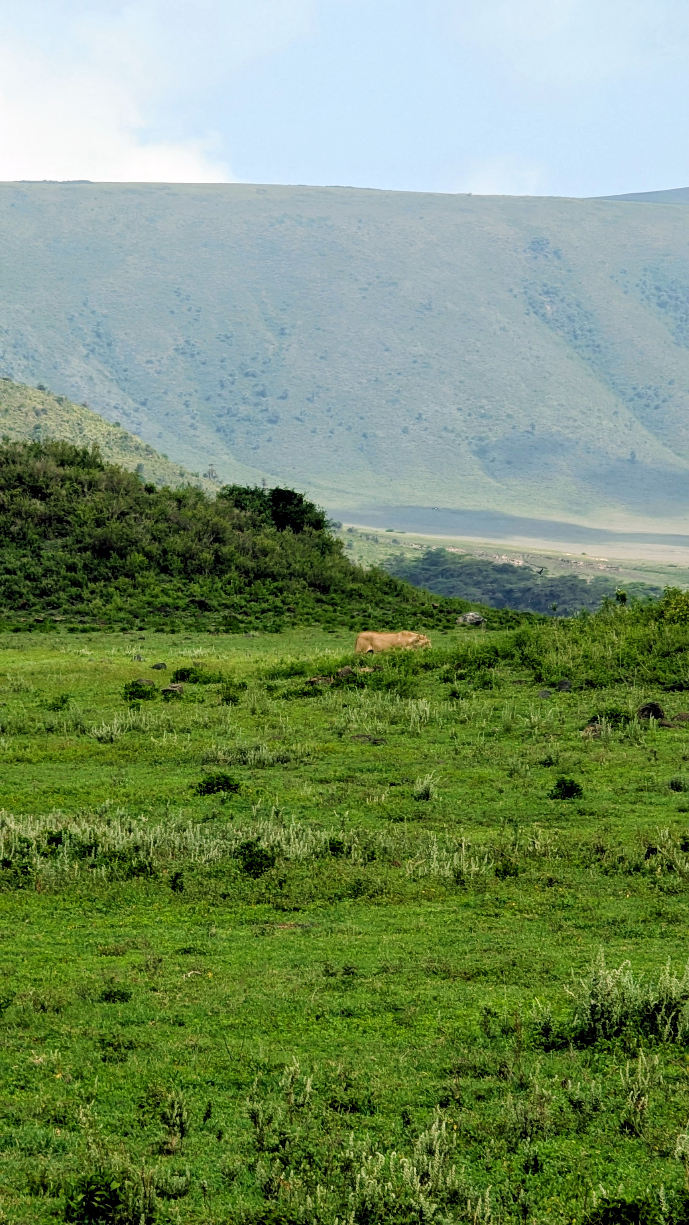 Lake Manyara, Ngorongoro & Tarangire