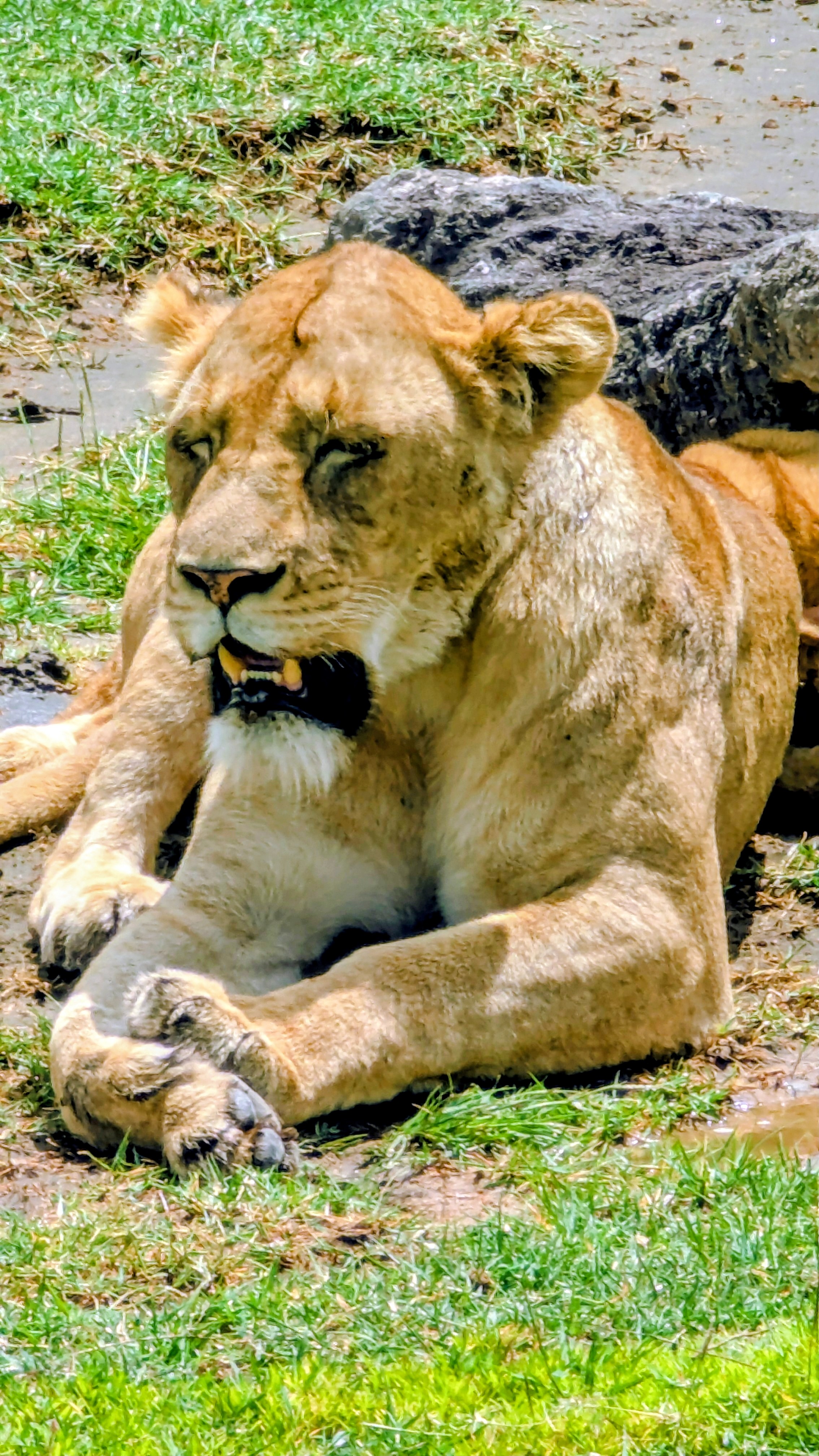 Lake Manyara, Ngorongoro & Tarangire