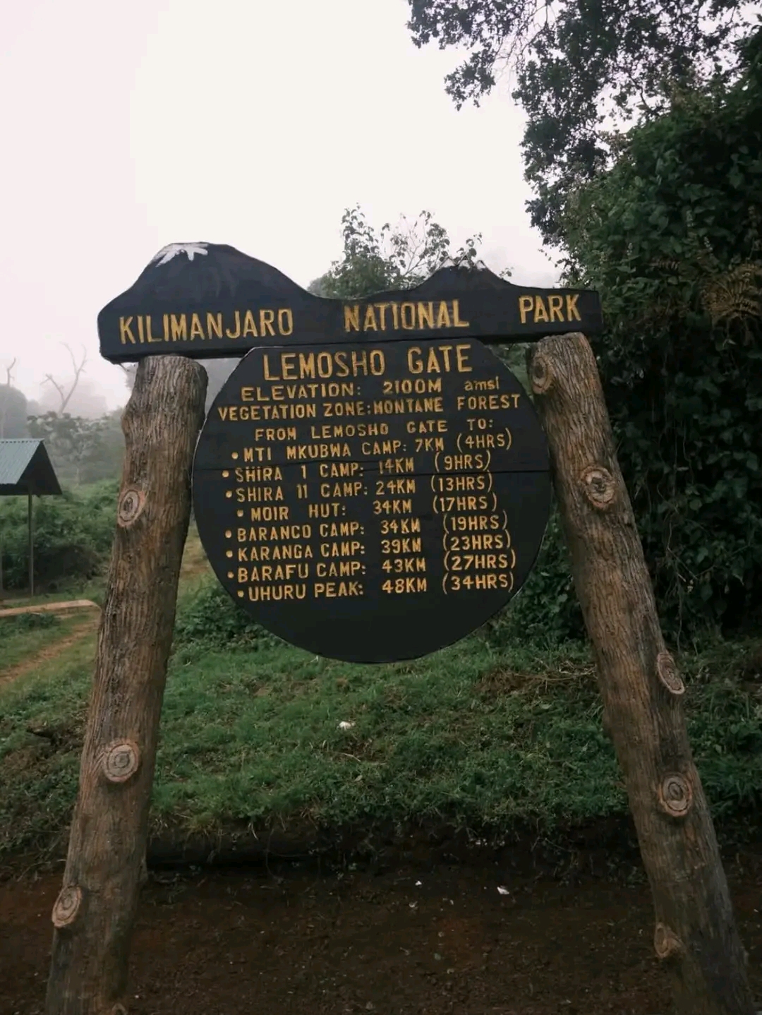 Lemosho Route (7 Days)