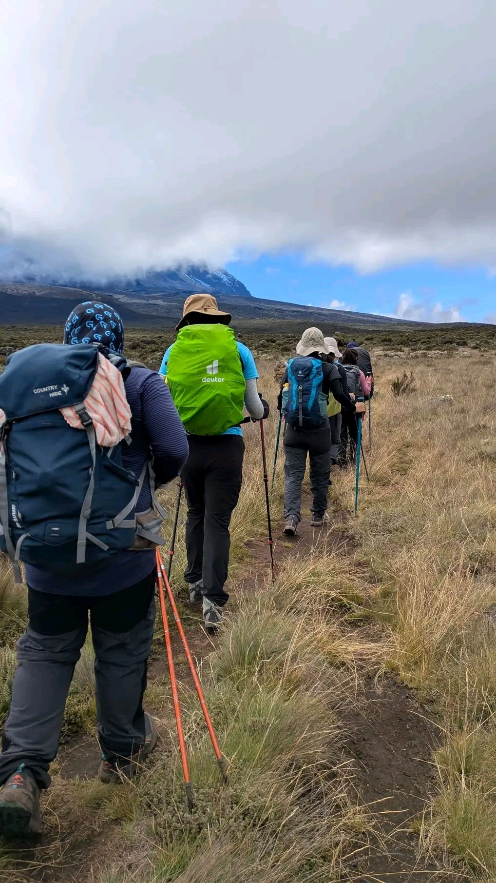 Lemosho Route (7 Days)